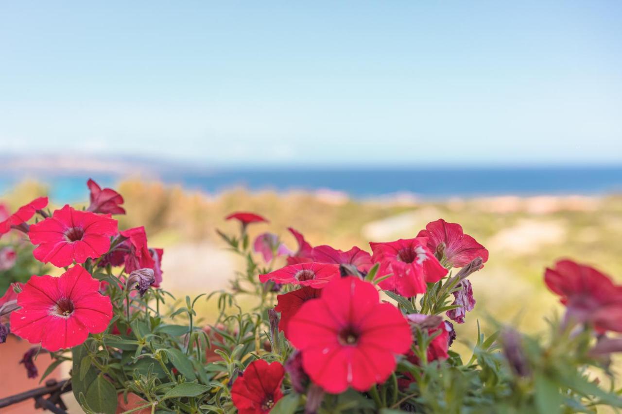 فندق Ancoramare View ستينتينو المظهر الخارجي الصورة